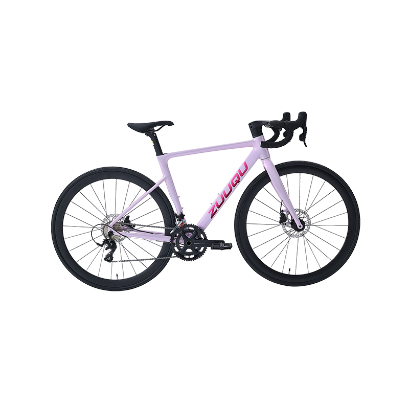 HYB-049 Light Purple Date Dat Encorption Road Bike